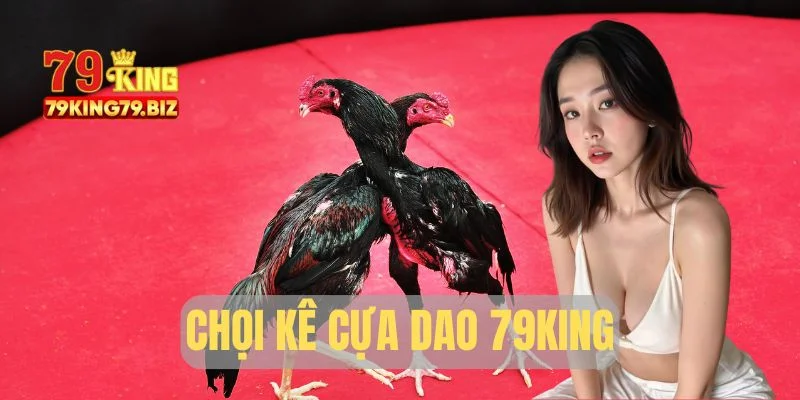 Thể loại hình đá gà yêu thích nhất 79King